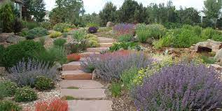 How to do garden stuff. Xeriscaping Ideas Landscaping Network
