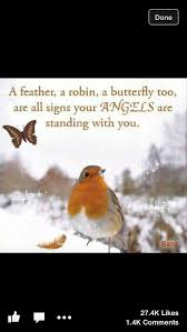 Birds Of The Same Feather Funny Quotes A Feather A Robin A Butterfly Too Bird Quotes Angel Signs Angel