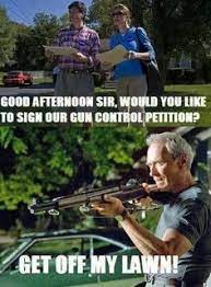 Gun