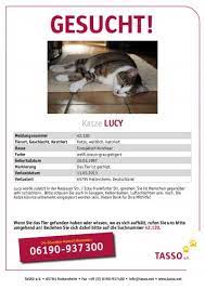 Maybe you would like to learn more about one of these? Hund Oder Katze Vermisst Entlaufen Tipps Und Regeln