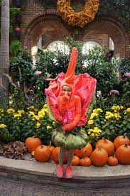 Pin On Fall Flower Show