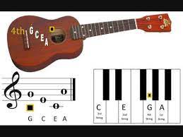 4.3 out of 5 stars. Ukelele Standard Tuner Standard Tuning G C E A Youtube