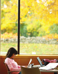 Bryant University Undergraduate Course Catalog 2009