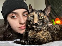 Roommates wanted in Charlotte for August move