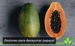 Beneficios Del Jugo De Papaya Con Sabila Blog Moisaner Gourmet