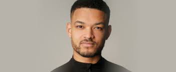 The Diary of a CEO Audiobook