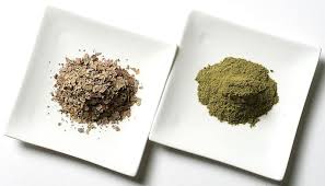 柿の葉を付けた天ぷらはどんな味 食の安全 Jbpress