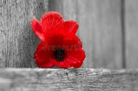 Lest we forget is a phrase commonly used in war remembrance services and commemorative occasions in english speaking countries. 1 182 Lest Forget Photos Free Royalty Free Stock Photos From Dreamstime