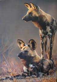african wild dog paintings home wildlife art sharon tancrel wild dogs african animals wild dogs animals