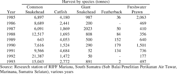 Lampam jawa biasanya ditemui di dalam kolam ternakan dan perairan yang pernah terdapat aktiviti akuakultur. Selected Species Of Harvested Fish From Lubuk Lampam Fishing Ground In Download Table