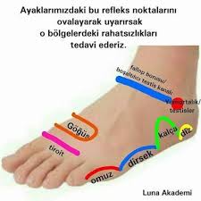Eda Adli Kullanicinin Bilgi Panosundaki Pin Refleksoloji Saglik Akupresur