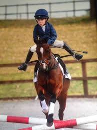 The 8 Lesson Horses Every Kid Grows Up Knowing Horses Equestrian Funny Horses