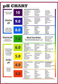 Swimming Pool Water Ph Strips 1 14 With New Color Chart High Quality Buy Ph Strips Ph Test Strip Ph Test Strip 1 14 Product On Alibaba Com