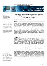 Image result for Phyllanthus parvulus