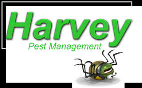 A lot of people see news stories about bedbugs becoming resistant to pesticides and if they're resistant to pesticides how are you going to get these bugs out of your house? Bed Bug Treatment Extermination Middleburg Lakeside Macclenny Fl Harvey Pest Management