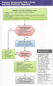 All paediatric advanced life support (als) providers should be competent in io placement and have regular retraining in the different devices (and puncture sites) used in their setting. Advanced Paediatric Life Support Pdf