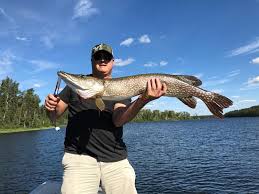 Check spelling or type a new query. Johnson Silver Minnow Walmart Com Walmart Com