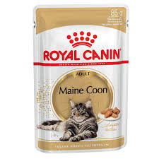 They're majestic animals with wonderful temperaments, and they make excellent companions. Royal Canin Maine Coon Cat Food Pouch 85g