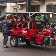 Yaitu kahatex rancaekek (pabrik 2), kahatex solokan jeruk (pabrik 3), kahatex cijerah di bandung kulon yang berbatasan dengan kota cimahi untuk pabrik 1 dan kantor pemasarannya. Nnme1du3xaxmfm