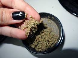 How to use a weed grinder. What S The Best Cannabis Grinder Grow Weed Easy
