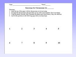 dna genes chromosomes and cells ppt video online download