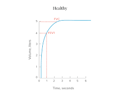 Spirometry Procedure Normal Values And Test Results