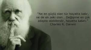 insan adaptasyonu ile ilgili resimler ile ilgili görsel sonucu