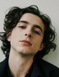 need me // timothée chalamet