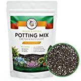 The hoffman cactus and succulent soil mix is ready to use and professionally formulated for jungle and desert cacti. The Best Cactus Mix Potting Soil Of 2021 Consumer Report