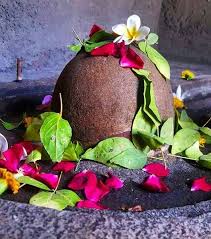 The Shiva Tribe - शिव भक्त भोले बाबा को बेलपत्र और भांग धतूरा चढ़ाते हैं। जबकि अन्य देवी देवताओं को मिष्टान और विभिन्न प्रकार के भोग चढ़ाते हैं ...