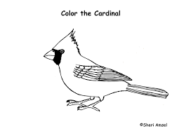 Download Cardinal Coloring Page