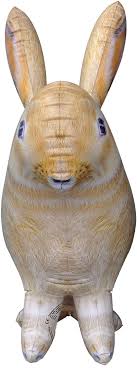 Buy Jet Creations Inflatable Blow Up Easter Bunny Rabbit Giant Stuffed Animals Birthday Party Pool Toy Decoration Supplies For Kids 30 Tall Pet Prop Figure An Rabbit Multi Online In Slovakia B07kmrvmb2