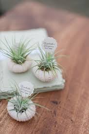 Trend Alert 21 Cool Air Plant Ideas For Your Wedding Plant Wedding Favors Diy Spring Weddings Air Plants Wedding