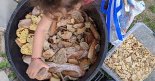 Repas De Poule Menu A Base De Pain Sec
