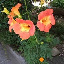 Check spelling or type a new query. World Flower Service Reviews Facebook
