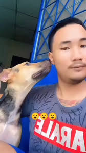 OKAY, I'M STOPPING AFTER THIS BUT THIS IS UTTERLY HILARIOUS!,  🤣🤣🤣🤣🤣🤣🤣🤣🤣🤣🤣🤣🤣