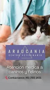 Servicios Veterinarios MUNDO MASCOTAS ARAUCANIA