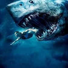 Which is the most scary shark in the world? Shark Where Shark Art Shark Pictures Scary Animals