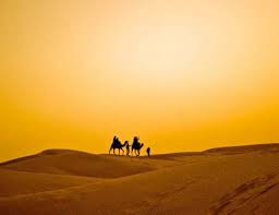 One of the best around is the camel desert safari with platinum heritage. Camel Safari Dubai Desert Camel Ride Dubai Arooha Tours