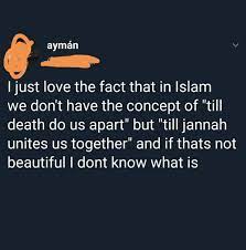 View the profiles of people named till jannah. Yeah How Beautiful That Apostates And Non Muslims Will Burn For Eternity While Jannah Unties Us Together Exmuslim
