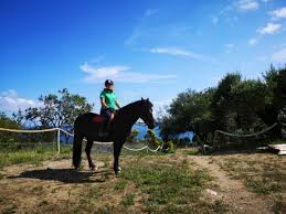Lezioni Equitazione Cavalli E Asini Pietra Ligure Parco Natura Asinolla