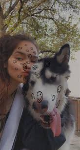 What is a good Canadian dog food for a maltipoo?