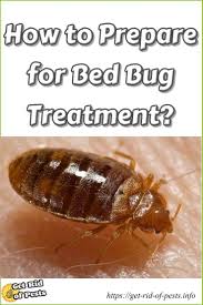 At savannah termite and pest control. Get Rid Of Bed Bugs Do It Yourself Pest Control Bedbug Extermination Termite Control Termites Bed Bugs