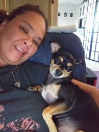 Coconut oil and CBD oil for dogs