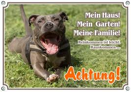 Hundeschild American Staffordshire Terrier Top Metallschild Staffordshire Terrier American Staffordshire