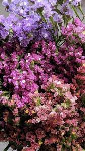 Dried flowers, sola wood flowers, bird toy making parts, potpourri, wedding bouquet & arrangements. Statice In 2021 Beautiful Flower Arrangements Flowers Dried Flower Arrangements
