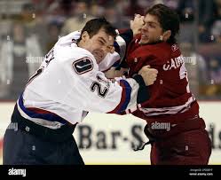 Vancouver Canucks right winger Tyler Bouck, left, and Phoenix Coyotes  defenseman Denis Gauthier battle in the third period of NHL action Tuesday,  Jan. 31, 2006, in Glendale, Ariz. The Canucks defeated the