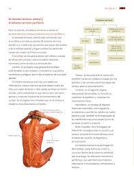 Libros oficiales de ciencias naturales (secretaría de educación) clic en descargar para descargar el archivo: Ciencias Naturales Sexto Grado 2016 2017 Online Pagina 14 De 176 Libros De Texto Online