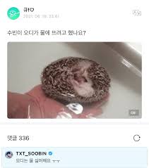 Soobin is leader of txt, a band on the same label as bts. S Tweet Soobin Does Odi Float In Water Odi Hates Water ã…œ Txt Members Txt Bighit Soobin Trendsmap