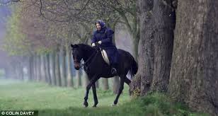 Nicole Kidman S Family Revealed To Be One Of The World S Largest Landowners Her Majesty The Queen British Monarchy Corgi Queen
